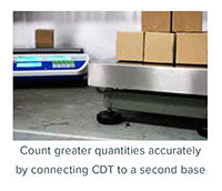 Cruiser® CCT/CDT Series Bench Scales - 3