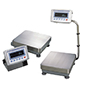 High Capacity Balances